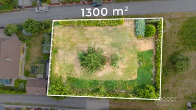 Prodej stavebního pozemku 1300 m2 v obci Záryby.