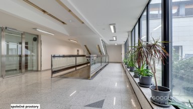 Pronájem kanceláře 66,4 m2 ulice Sokolovská