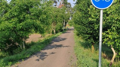 Příjemná venkovská zahrada s rekreačním karavanem a terasou.